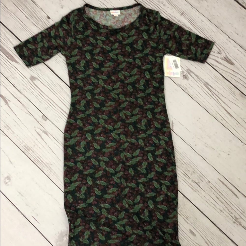 NWT LuLaRoe Julia Dress